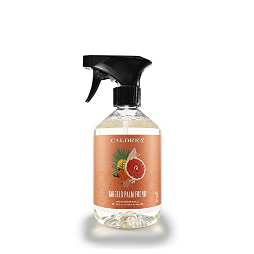 Caldrea Multi-Surface Cleaner - Odor Eliminator with Tangelo Palm Frond Scent - 16oz