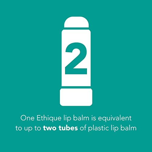 Ethique Pepped Up Lip Balm - Nourishing, Vegan, Plastic-Free, 100% Natural - 0.32 oz
