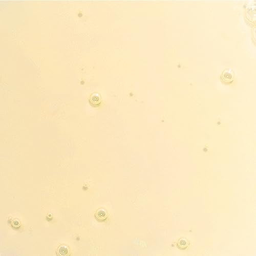 Derma E Hair Oil - Nourishing Scalp Treatment, Anti-Frizz & Breakage, 100% Vegan - 1 fl oz