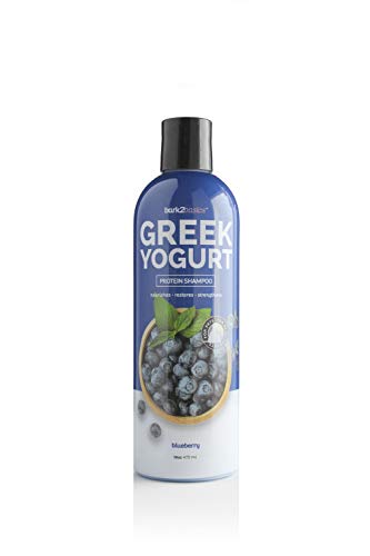 Bark2Basics Blueberry Greek Yogurt Dog Shampoo - Nourishes & Restores Moisture, 16oz
