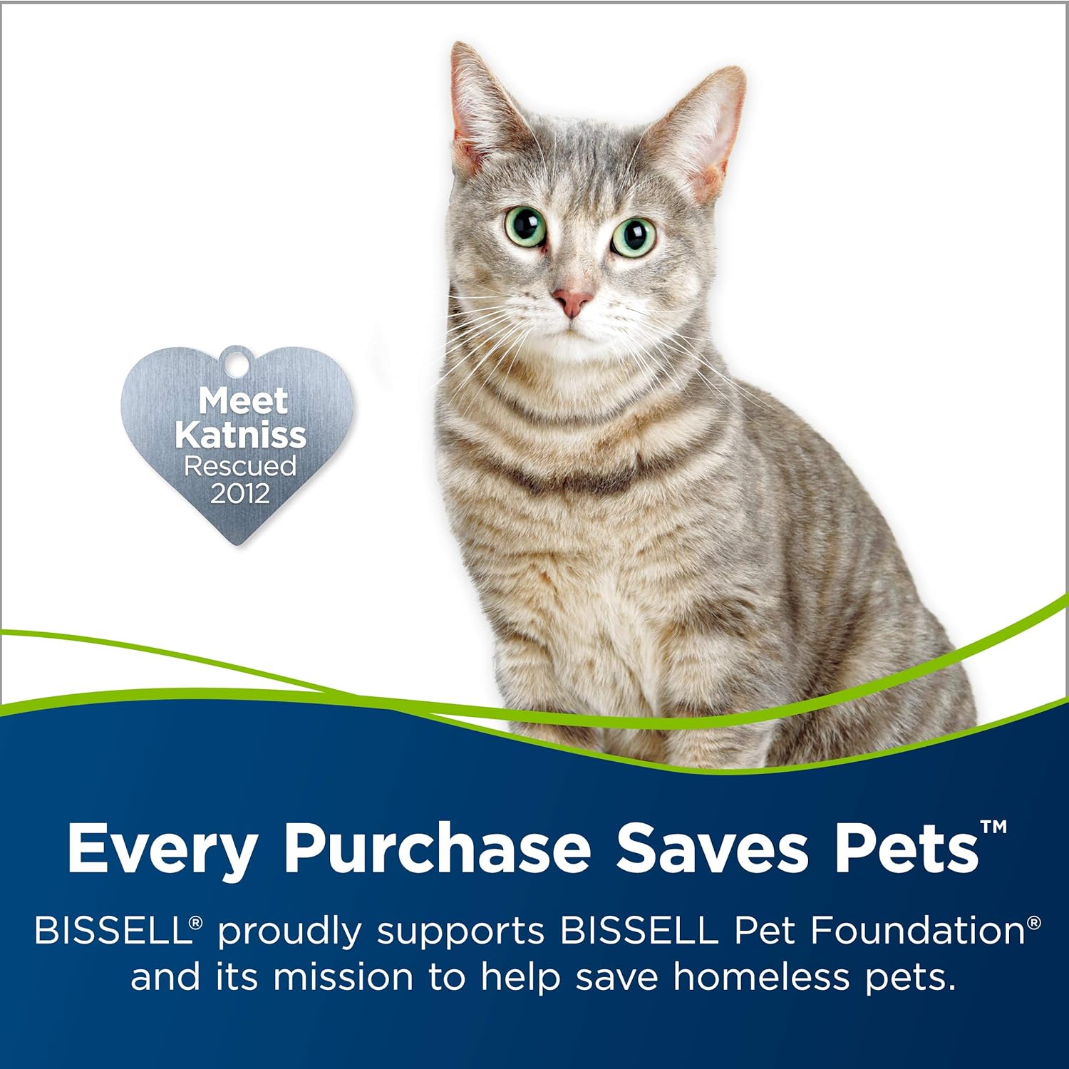 Bissell Pet Stain & Odor Remover - Eliminates Tough Stains, Biodegradable - 48oz