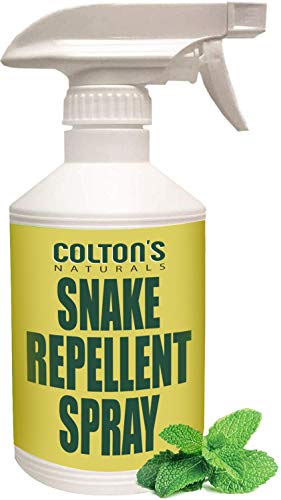 Natural Snake Repellent Spray - Safe for Pets & Kids, Peppermint & Cinnamon - 32oz