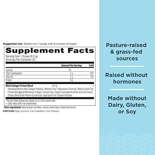 Ancient Nutrition Collagen Protein Powder - Energy Boost, Skin & Gut Health, 20 Servings