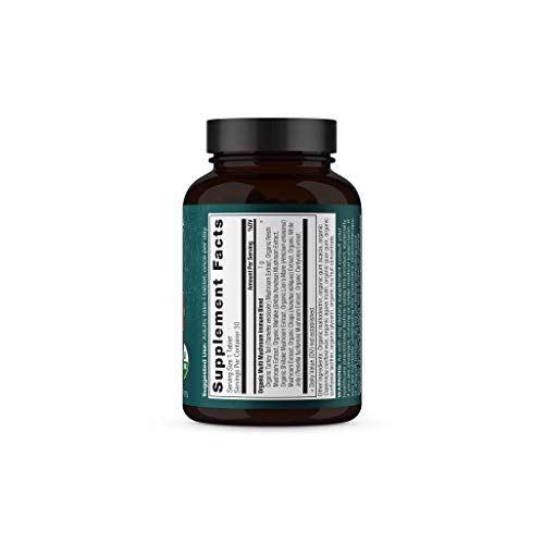 Ancient Nutrition Mushroom Supplement - Immune Support, Stress Response, Organic - 30 Tablets