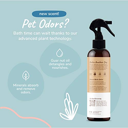 kin+kind Dog Deodorizing Spray - Natural Odor Eliminator with Almond & Vanilla - 12 fl oz