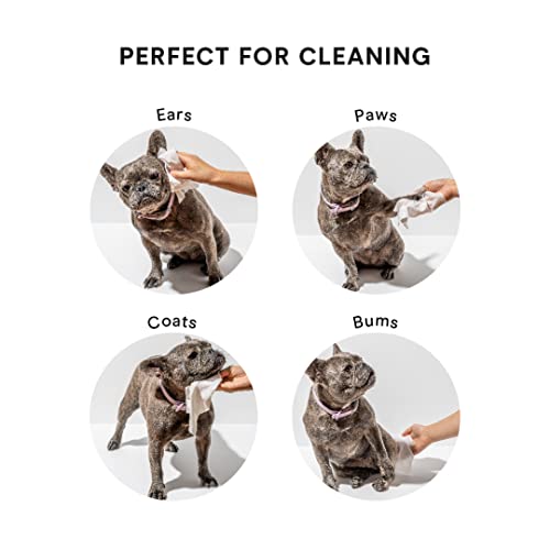 Wild One Pet Wipes - Vegan, Hypoallergenic, Natural Cleaners, Coconut Water & Aloe Vera - 70 Count