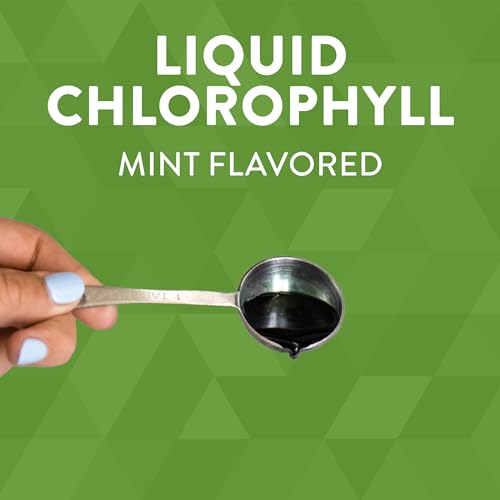 Nature's Way Chlorofresh Liquid Chlorophyll - Supports Detox & Healthy Skin, Mint Flavor - 16 Fl Oz