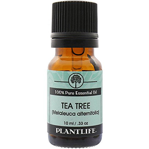 Fabulous Frannie Peppermint Essential Oil - 100% Pure, Therapeutic Grade - 10 ml