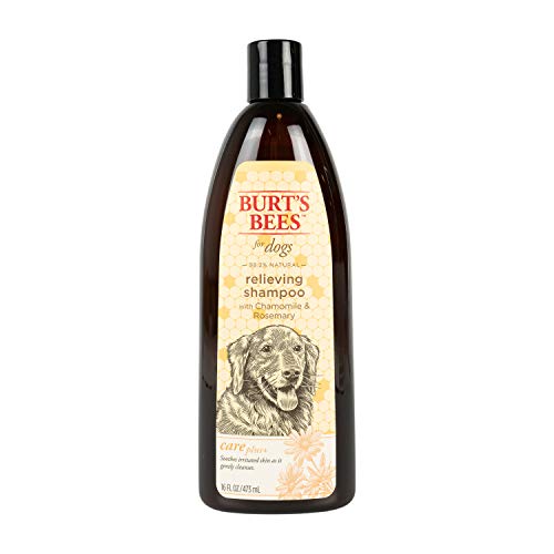 Burt's Bees Dog Shampoo - Itch Relief, Naturally Derived with Chamomile & Rosemary - 16oz