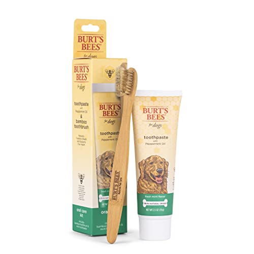Burt's Bees Dental Care Kit - 99.5% Natural Toothpaste & Soft Bamboo Brush for Dogs - 2.5oz