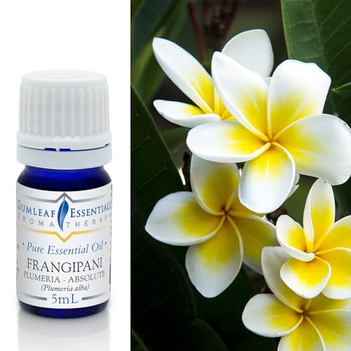 Gumleaf Essentials Frangipani Plumeria Essential Oil - 100% Pure & Natural, 5ml, Vegan