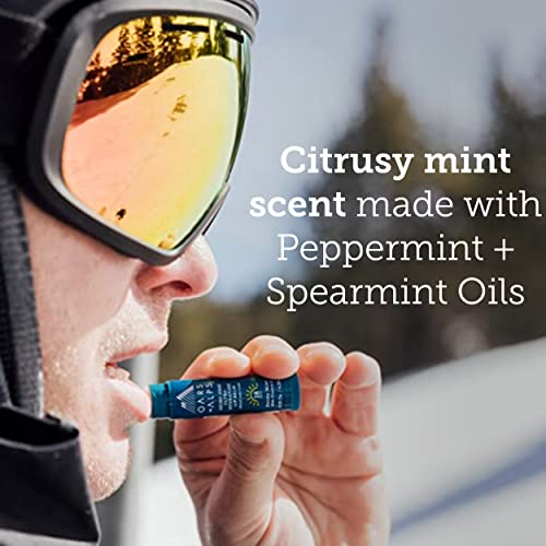 Oars + Alps Lip Balm - Ultra Hydrating, Clear Application, Alpine Mist - 2 Pack, 0.3 Oz