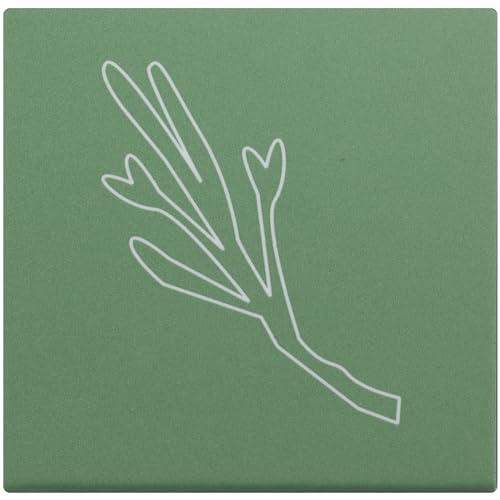 Cocokind Organic Sea Moss Exfoliator - Nourishes Skin, USDA Certified Organic - 4oz