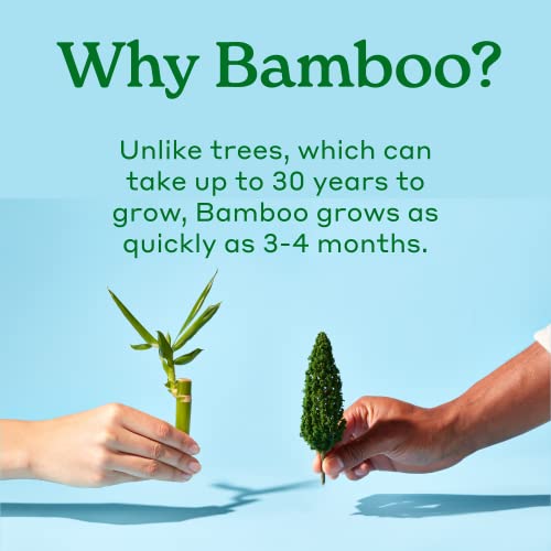 Caboo Tree Free Baby Wipes - Naturally Derived, Safe for Sensitive Skin, 432 Total Wipes