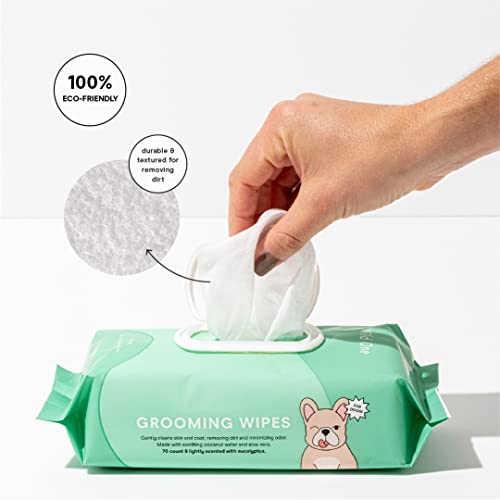 Wild One Pet Wipes - Vegan, Hypoallergenic, Natural Cleaners, Coconut Water & Aloe Vera - 70 Count