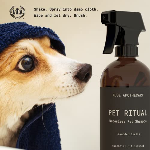 Muse Apothecary Waterless Dog Shampoo - Fresh Bouquet Scent, Plant-Derived, No Rinse - 16oz