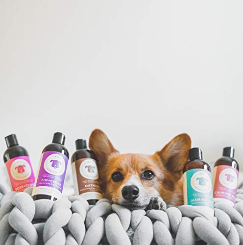 kin+kind Jasmine+Lily Organic Dog Shampoo - Moisturizes with USDA Certified Ingredients - 12oz