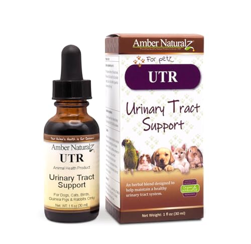 Amber NaturalZ UTR Urinary Tract Herbal Supplement - Supports Bladder Health, 1oz Glass Bottle