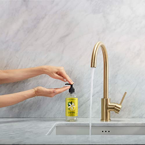 Caldrea Hand Soap - Gentle Cleanser with Aloe Vera & Olive Oil, Sea Salt Neroli Scent - 10.8oz