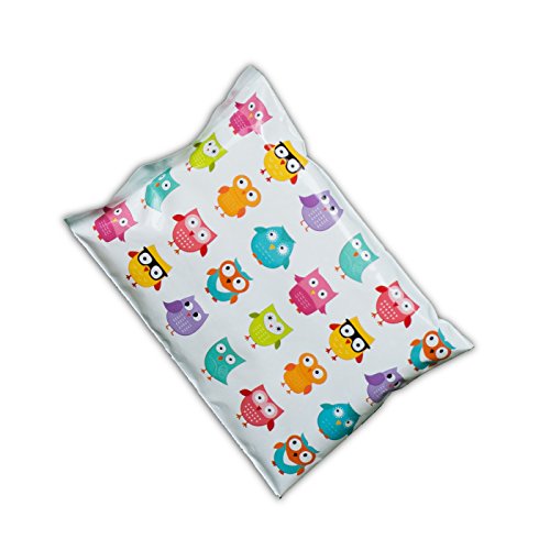 Laptop Lunches Ice Pack - Non-Toxic, Biodegradable, Fun Owl Design - 6 x 4.5 x 0.75 inches