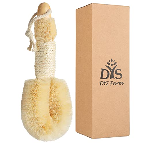 Natural Body Brush - Exfoliating & Lymphatic Massage, Vegan Sisal Bristles - Perfect Gift