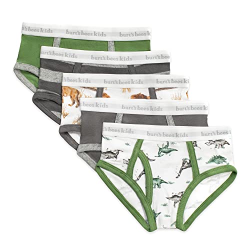 Burt's Bees Baby Boys' Underwear - Organic Cotton, Tag-Free Comfort, Fun Prints - 4-5T Pack of 5