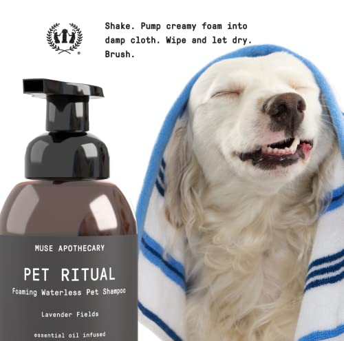 Muse Apothecary Dog Shampoo - Deep Cleansing Foam, Essential Oils & Oatmeal + Mango - 11.5oz