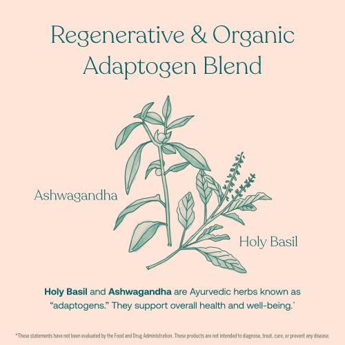 True Grace One Daily Women's Multivitamin 40+ - Energy, Immune & Bone Support - 30 Vegan Tabs