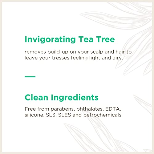 Soapbox Tea Tree Shampoo - Purifying, Vegan & Cruelty-Free, Color Safe - 33.8oz (3-Pack)