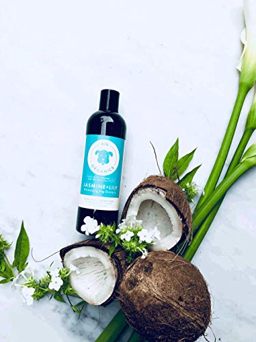 kin+kind Jasmine+Lily Organic Dog Shampoo - Moisturizes with USDA Certified Ingredients - 12oz