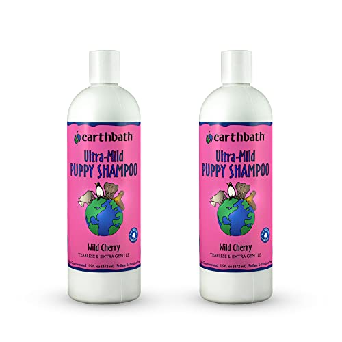 earthbath Wild Cherry Dog Shampoo - Gentle, Deodorizing & Non-Toxic - 16oz (2 Pack)