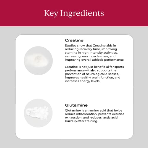 CYMBIOTIKA Mushroom & Creatine+ Supplement - Boost Energy & Recovery, Vegan, 6 Organic Mushrooms