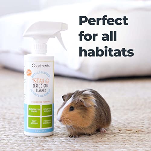 Oxyfresh Pet Odor & Stain Remover - Fast-Acting, Safe Formula for Small Animals, 16oz