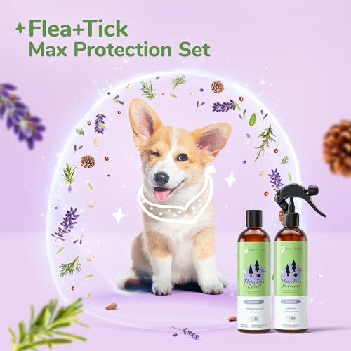 kin+kind Dog Shampoo & Flea/Tick Spray Set - Natural Ingredients, Lavender Scent - 12oz Each