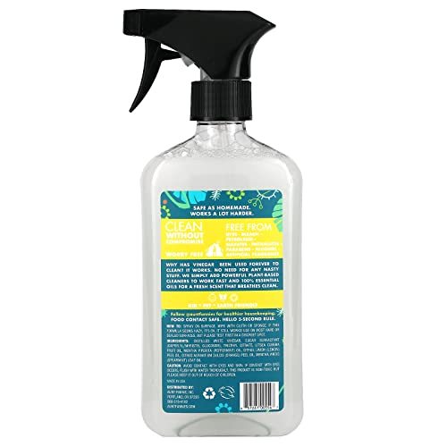 Aunt Fannie's All Purpose Cleaner - Natural Vinegar & Plant-Based, Lemon Scent - 16.9oz
