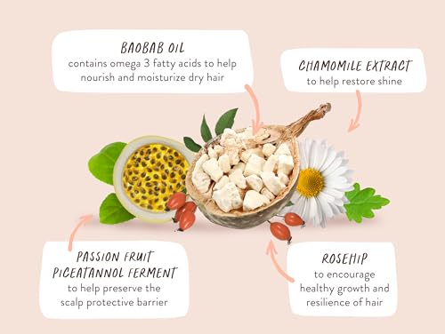 Babo Botanicals Baobab & Rosehip Conditioner - Smooths Extra Dry Curls, Vegan - Citrus Cedarwood