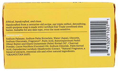 ALAFFIA Charcoal Reishi Body Soap - Organic Certified, No Animal Testing - 5 OZ