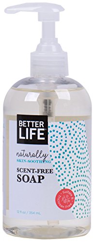 Better Life Hand Soap - Gentle Aloe & Vitamin E, Non-Toxic, Biodegradable - 12oz