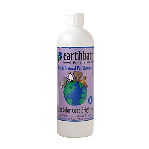 earthbath Lavender Dog Shampoo - Deodorizing, Non-Toxic Formula, Natural Ingredients - 16oz (2 Pack)
