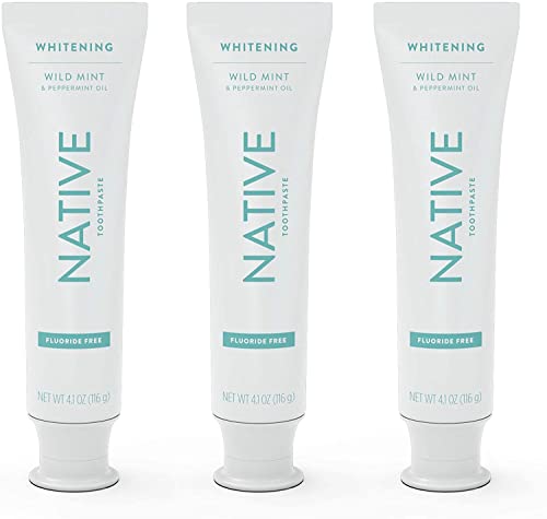 Native Toothpaste - Naturally-Derived Cleaners, Fluoride-Free, Wild Mint Flavor - 4.1 oz, 3 Count