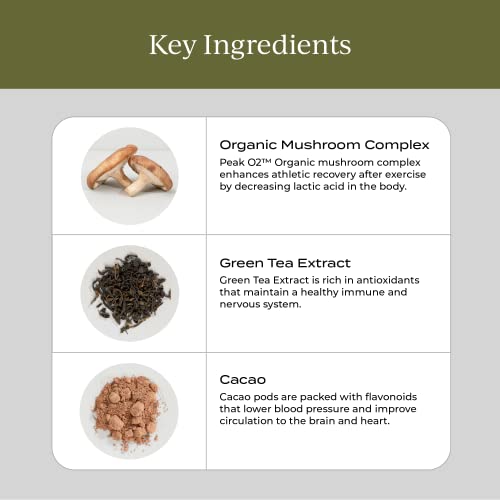 CYMBIOTIKA Mushroom & Creatine+ Supplement - Boost Energy & Recovery, Vegan, 6 Organic Mushrooms