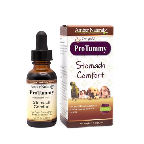 Amber NaturalZ ProTummy Herbal Supplement for Pet Stomach Comfort - 1oz Glass Bottle
