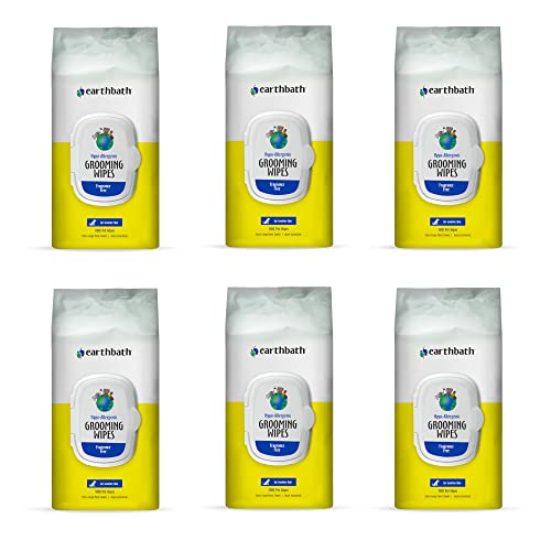 earthbath Pet Wipes - Hypo-Allergenic, Moisturizing & Deodorizing for Sensitive Skin - 100 Count