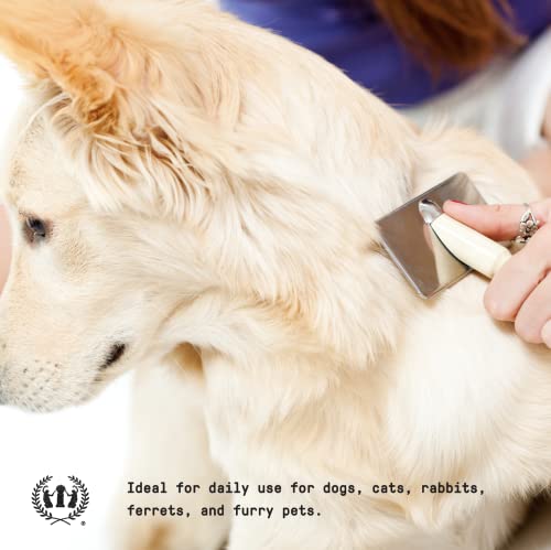Muse Apothecary Dog Grooming Spray - Deodorizing & Detangling, Lavender Fields, 8oz