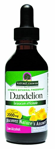 Nature's Answer Dandelion Root Extract - Detox & Liver Support, Gluten-Free, Kosher - 2 Oz