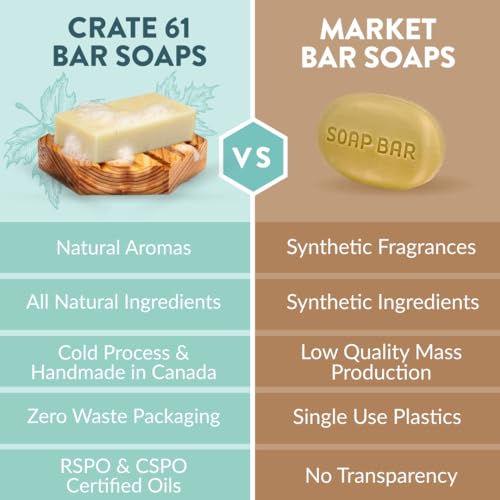 Crate 61 Body Soap - Nourishing Cold Process Bar with Essential Oils, Pack of 6 - Citrus