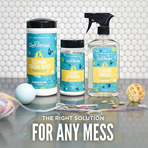 Aunt Fannie's Carpet Freshener - Odor Neutralizing with Natural Ingredients, Bright Lemon - 16oz
