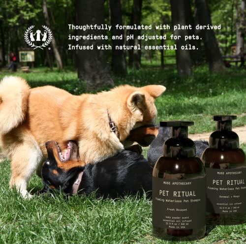 Muse Apothecary Dog Shampoo - Deep Cleansing Foam, Essential Oils & Oatmeal + Mango - 11.5oz
