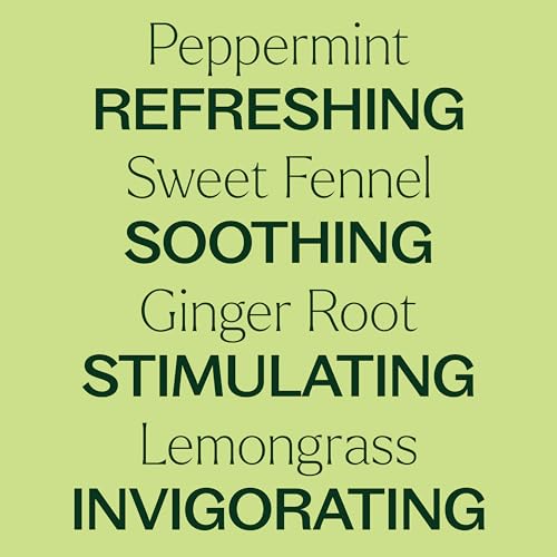 Plant Therapy Gut Aid Essential Oil Blend - Supports Healthy Digestion, Minty Scent - 10 mL