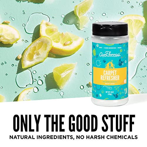 Aunt Fannie's Carpet Freshener - Odor Neutralizing with Natural Ingredients, Bright Lemon - 16oz